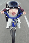 pic for pig on bike  